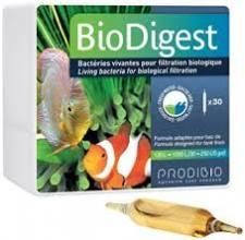 Prodibio BioDigest 30 ampuliek