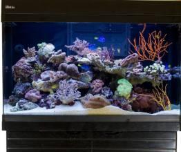 RED SEA MAX C-250 Complete Reef System - Black (nový typ)
