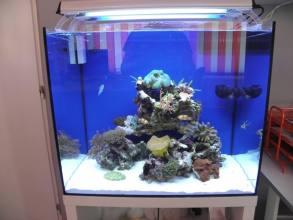 NANO morské akvárium MC90 komplet so stolíkom