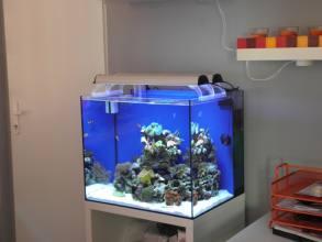 NANO morské akvárium MC90 bez stolíka