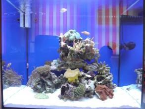 NANO morské akvárium MC144 bez stolíka