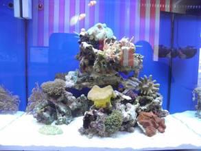 NANO morské akvárium MC144 komplet so stolíkom