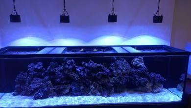 Kessil osvetlenie A350W TUNA BLUE LED Aquarium Light